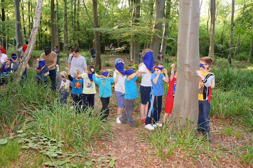 beavers blindfold