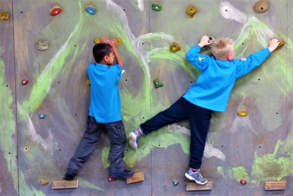 beavers climb